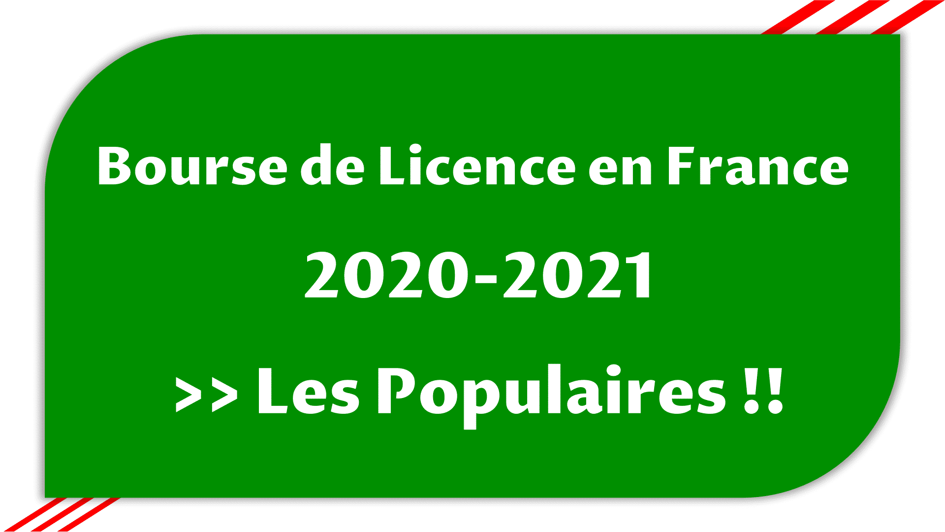 Bourse de Licence en France