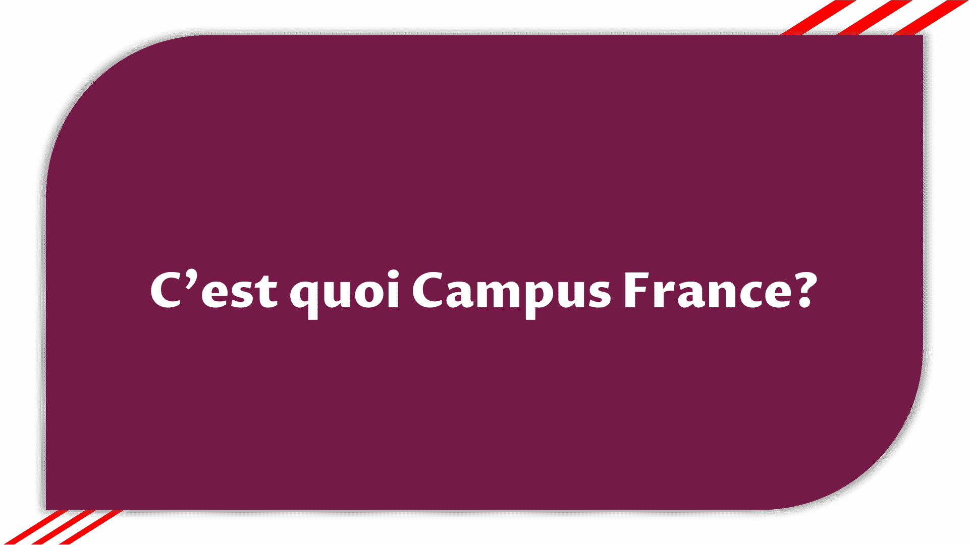 C'est quoi Campus France  Présentation Campus France