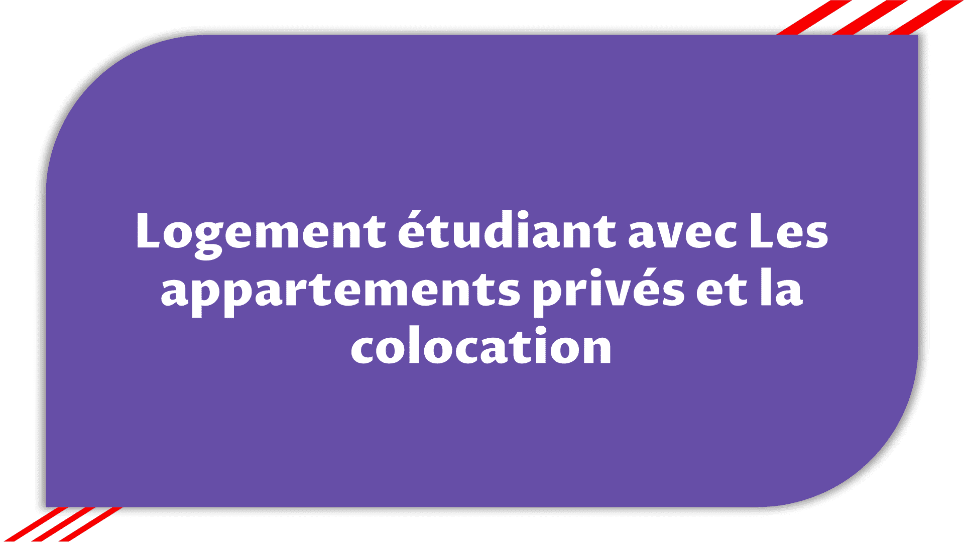 appartements privés et colocation