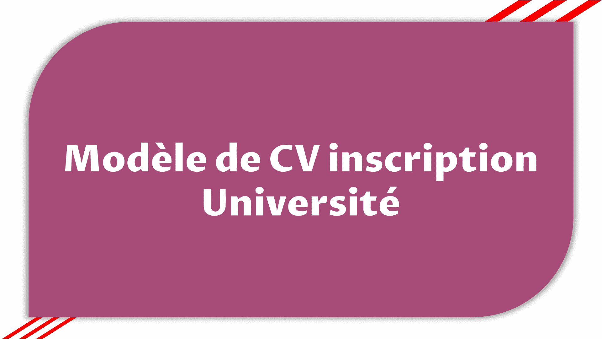 CV Université