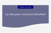 Visa Long Séjour Pour étudiant VLS-TS ! Formalités Et Infos