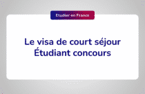 Visa Long Séjour étudiant Valant Titre De Séjour VLS-TS Etudiant